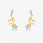 premium earrings