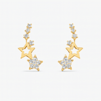 premium earrings
