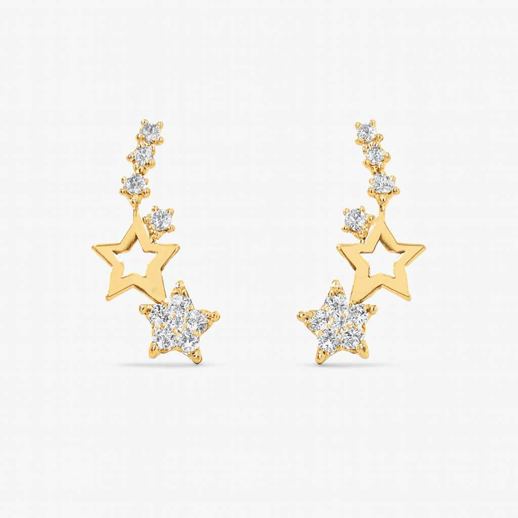premium earrings