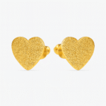 premium earrings